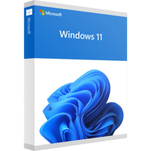Windows 11